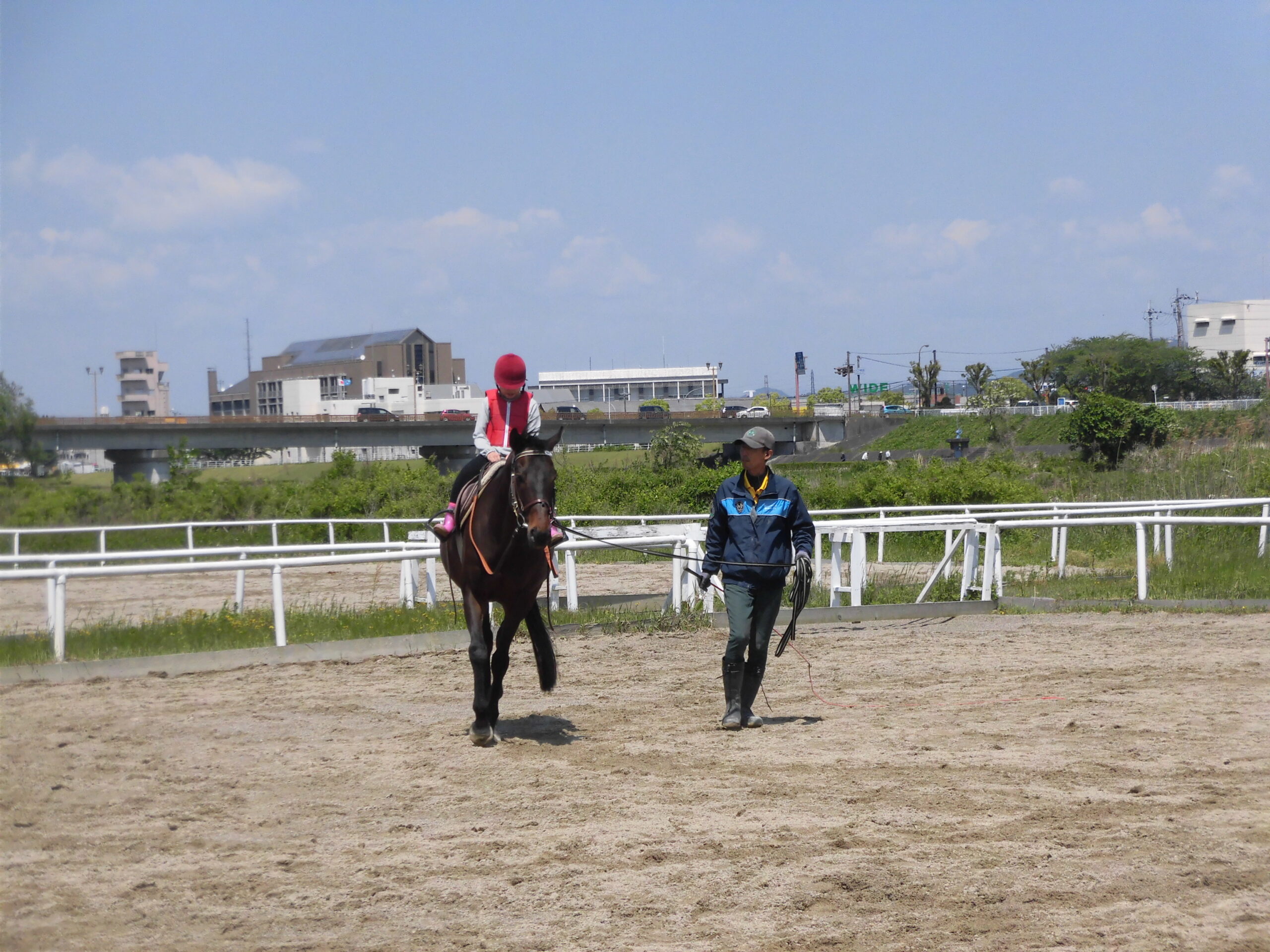 乗馬レッスンの様子