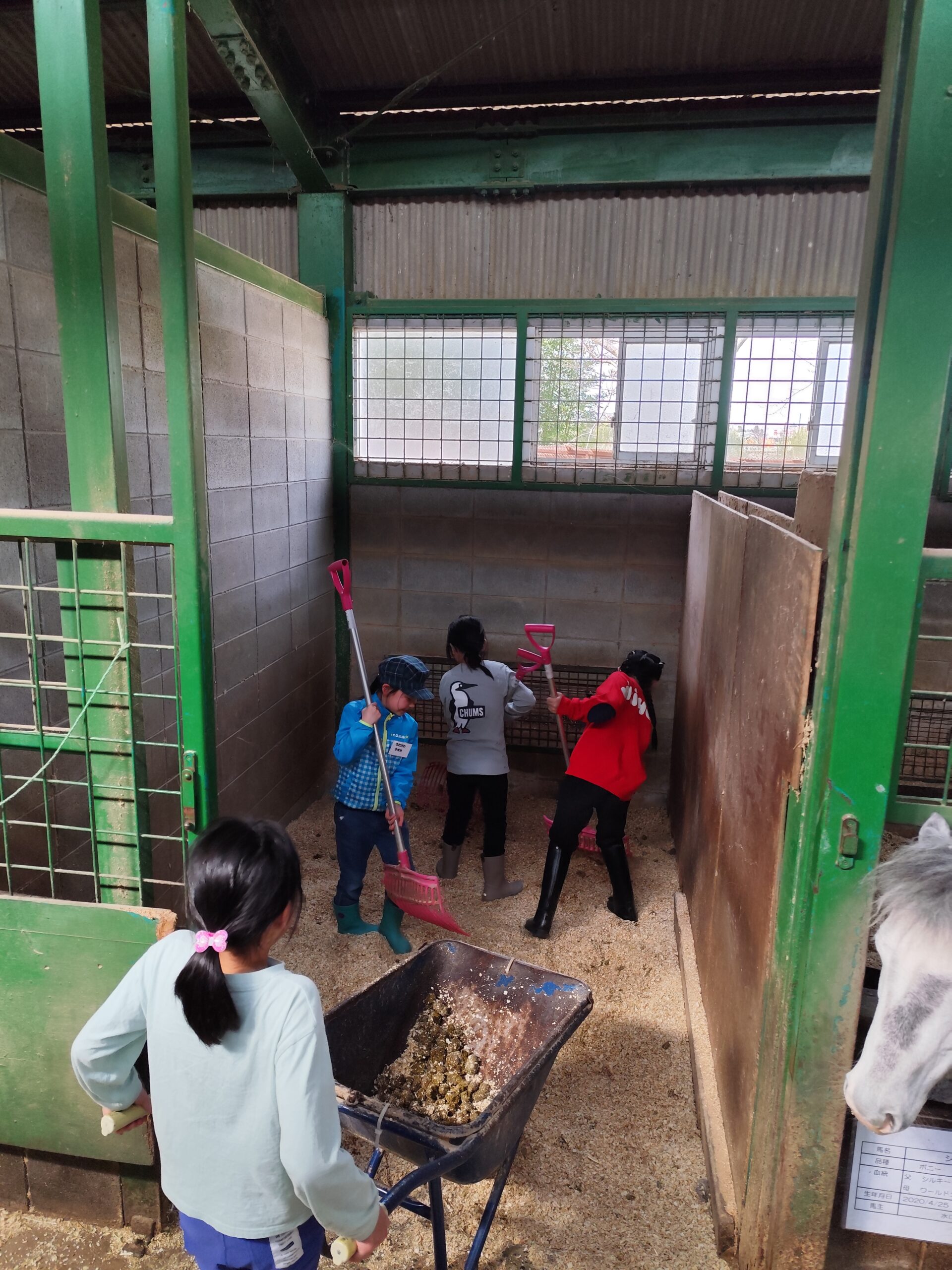 厩舎の掃除体験